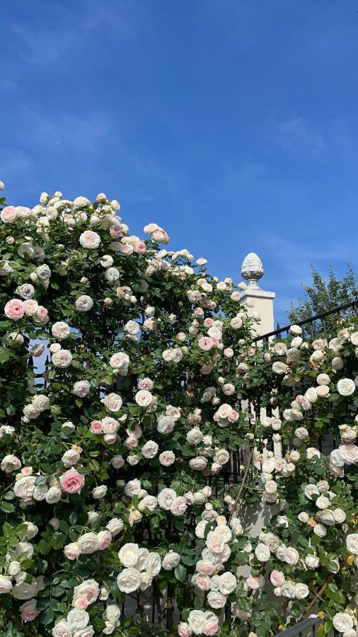 Corte Caiar Bed&Breakfast Caprino Veronese Bagian luar foto